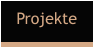 Projekte
