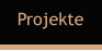 Projekte